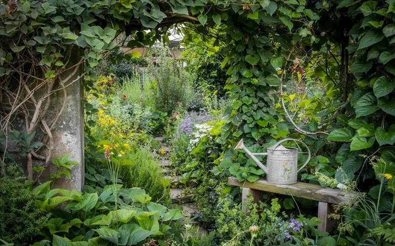 Over Cluttered Garden