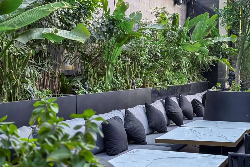 Beiruti Cafe landscape project, photo 2