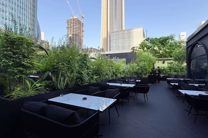 Beiruti Cafe landscape project, photo 3