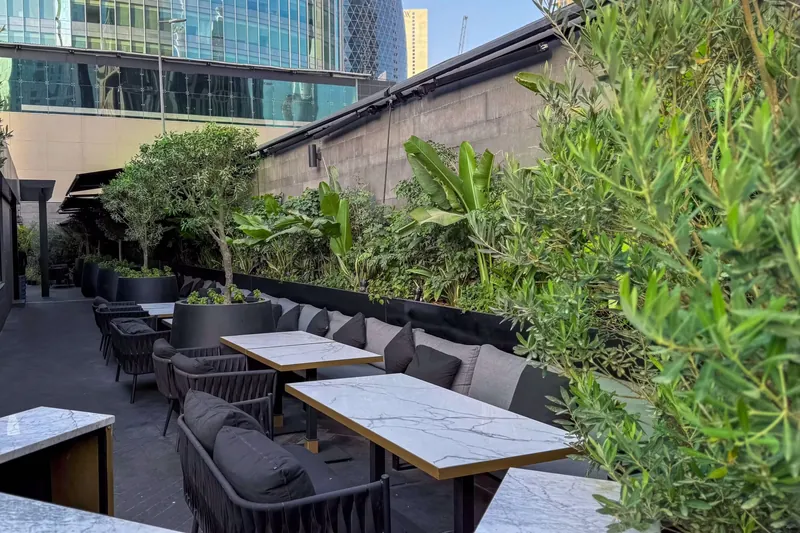 Beiruti Cafe landscape project, photo 4