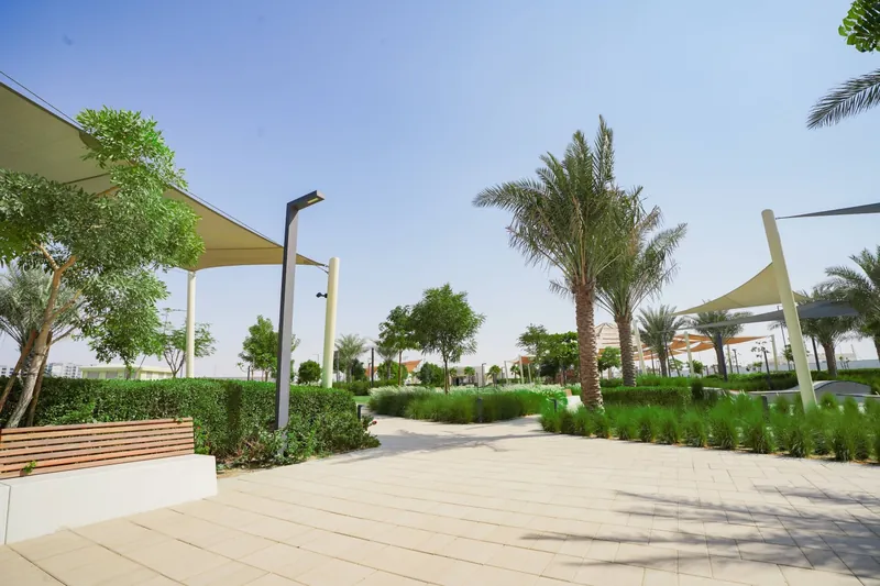 Central and Sakany Park landscape project, photo 2