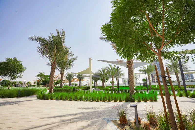 Central and Sakany Park landscape project, photo 3