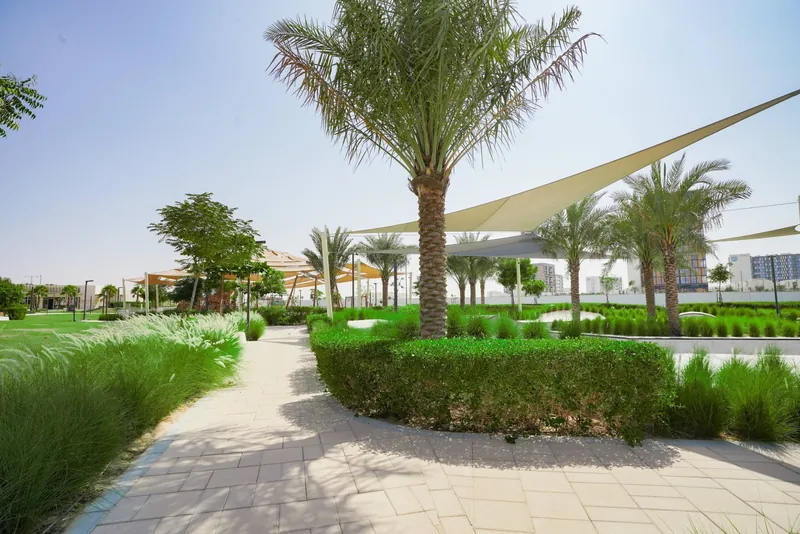 Central and Sakany Park landscape project, photo 4