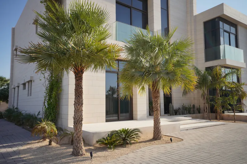 Nad Al Sheba Villa landscape project, photo 2