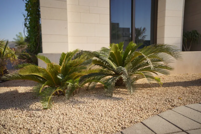 Nad Al Sheba Villa landscape project, photo 3