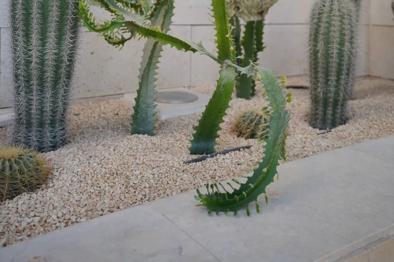 Nad Al Sheba Villa landscape project, photo 7