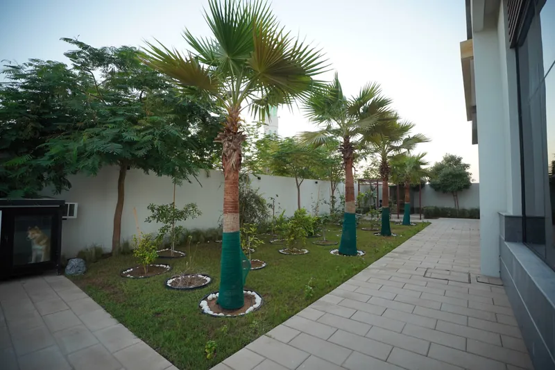 Nad Al Sheba Villa landscape project, photo 8
