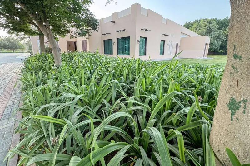 Ruwaiyyah Farm landscape project, photo 2