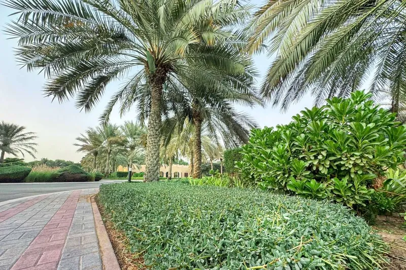 Ruwaiyyah Farm landscape project, photo 3