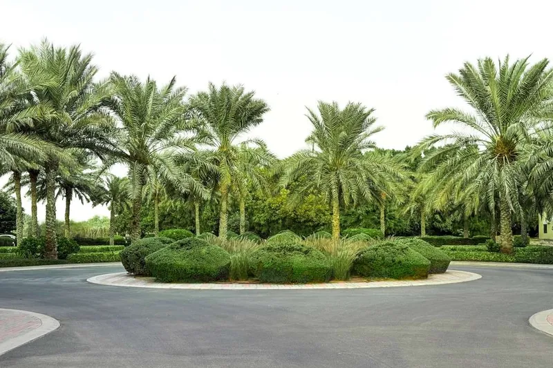 Ruwaiyyah Farm landscape project, photo 7