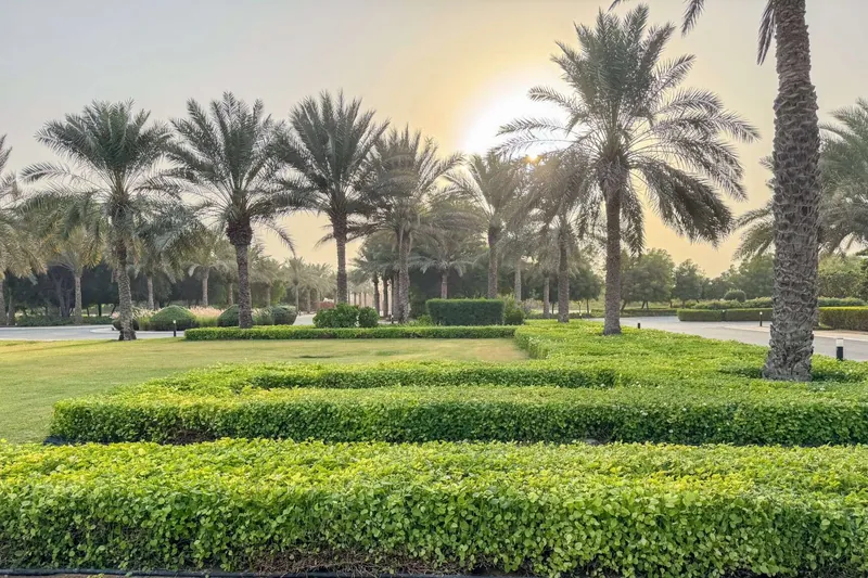 Ruwaiyyah Farm landscape project, photo 11