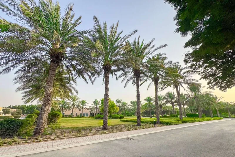 Ruwaiyyah Farm landscape project, photo 12